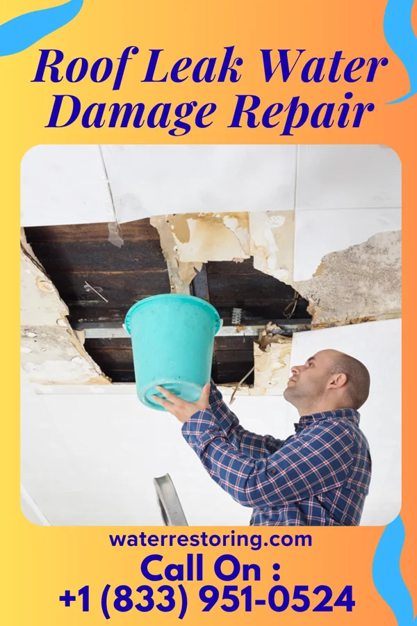 Roof Leak Water Damage Repair in Menifee, AR